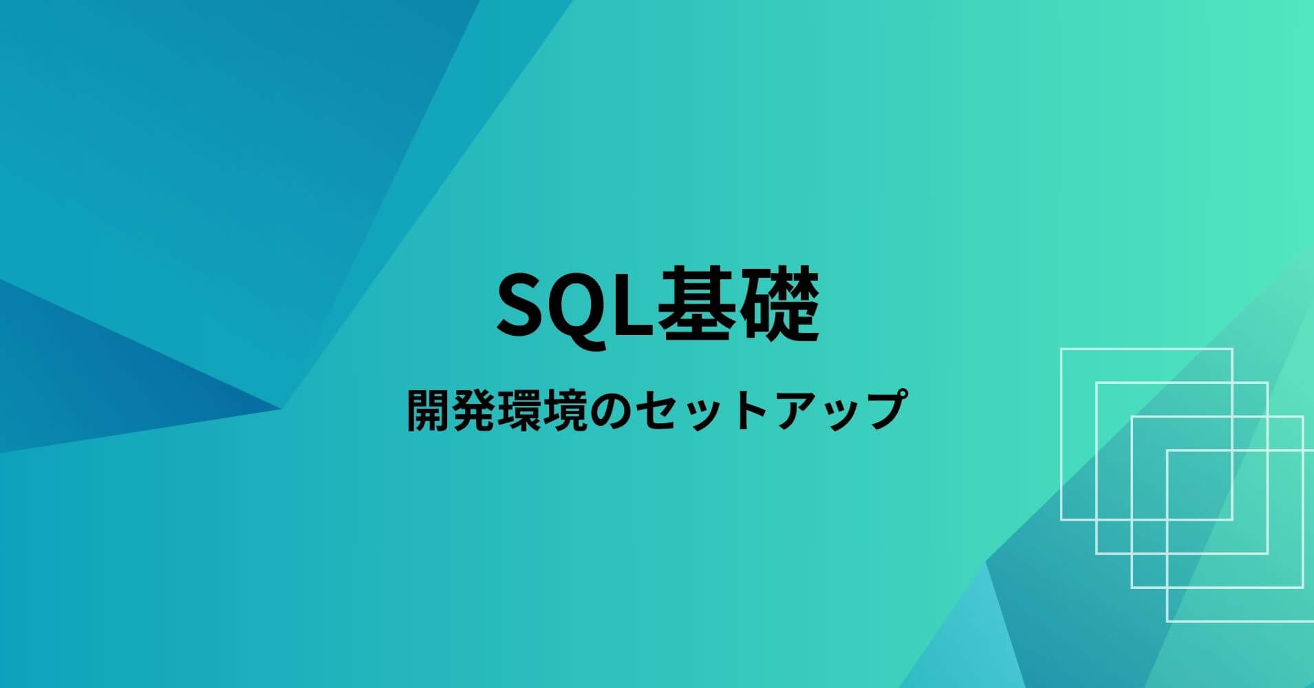 販売 セットアップ 開発環境